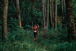 BIB: 
                            <button type="button" onclick="openModal(25237189)" class="btn btn-primary btn-sm float-right btn-popup" data-toggle="modal" data-target=".modal-high-quality">
                        <i class="fas fa-shopping-cart"></i> Add to Cart
                    </button>
                                            <button type="button" onclick="isThisMe(25237189, true)" class="btn btn-success btn-sm float-right btn-popup btn-isme hidden" data-toggle="tooltip" data-placement="bottom" title="นี่คือรูปของคุณใช่ไหม คลิกที่นี่เพื่อเอาเข้าอัลบั้ม">
                        <i class="fas fa-plus"></i> Add to album
                    </button>
                    <button type="button" onclick="isThisMe(25237189, false)" class="btn btn-warning btn-sm float-right btn-popup btn-isnotme hidden">
                        <i class="fas fa-ban"></i> Remove from album
                    </button>